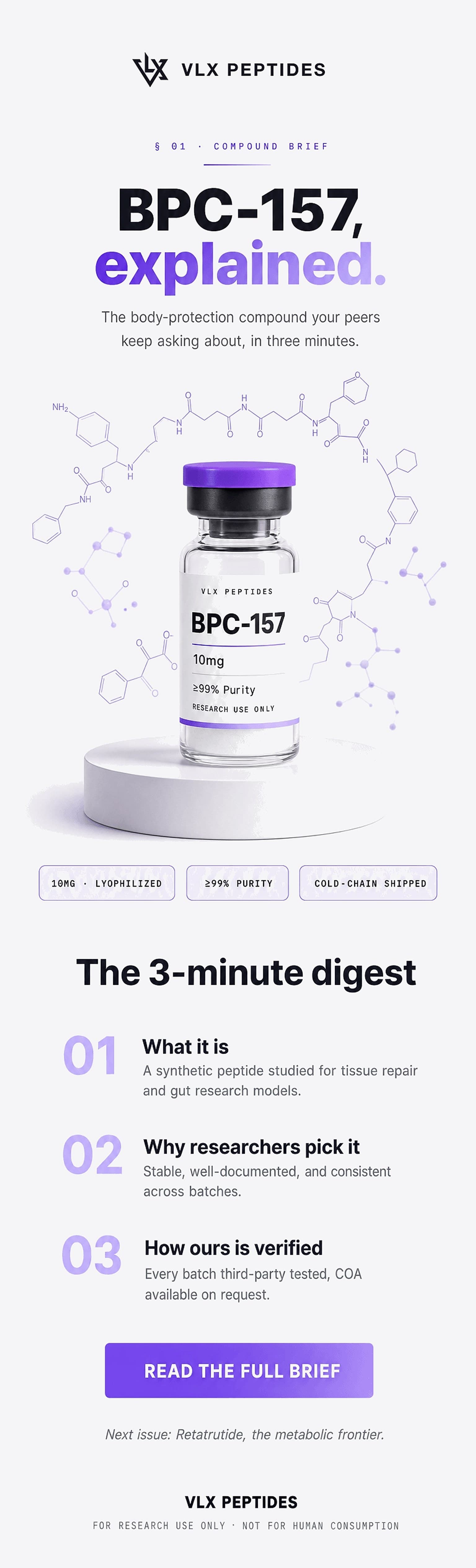 Newsletter email design